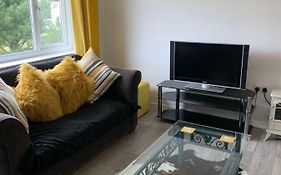 Modern Flat In Harlech - Dog Friendly!